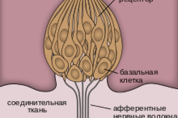 Сайт кракен зайти